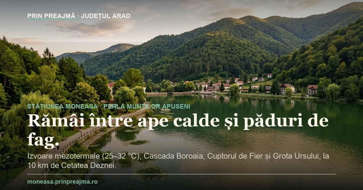 Card social 16:9 OG Moneasa
